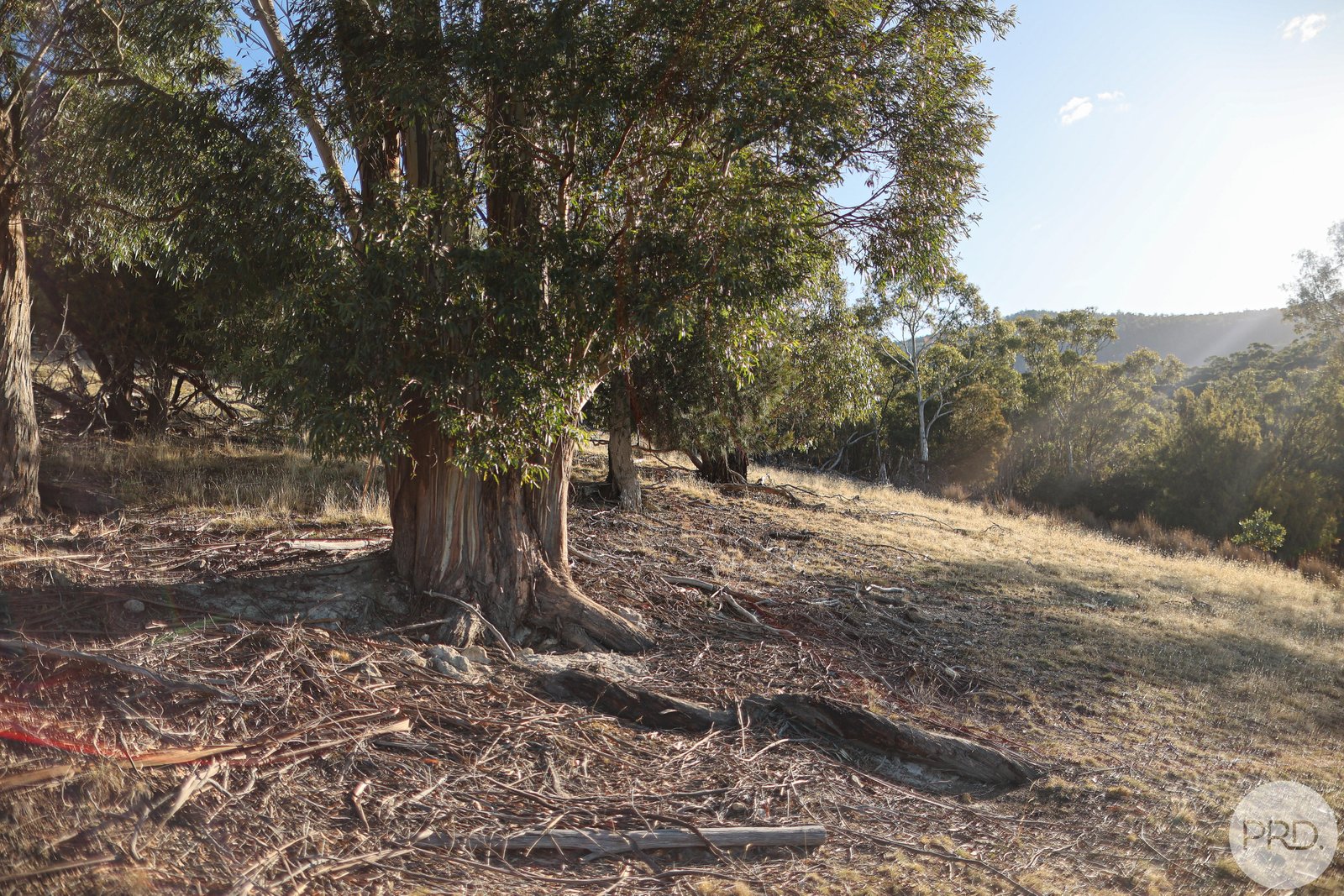 48 Russell Road CLAREMONT 32