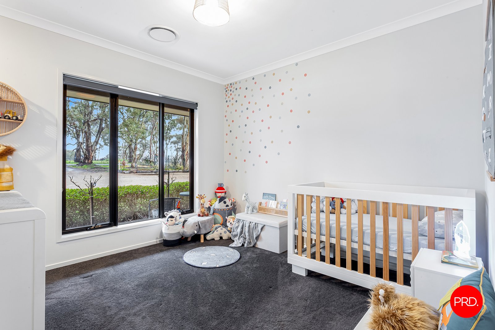 48 Shadforth Street AXEDALE 16