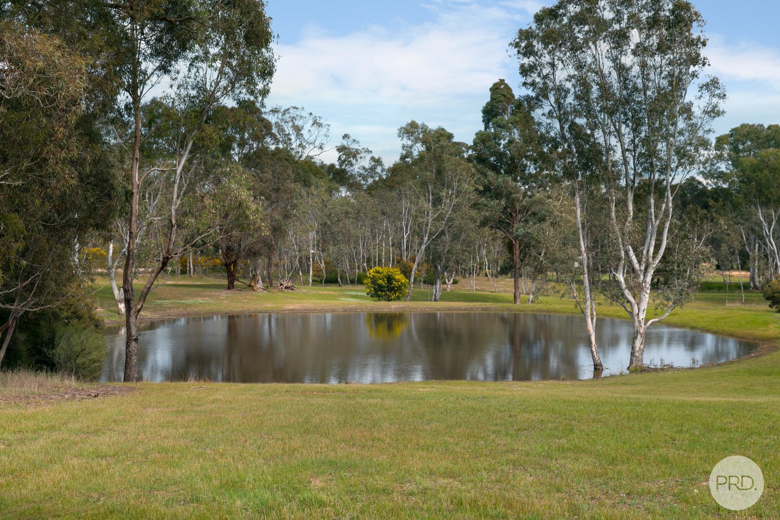 48 Skene Street LEXTON 16