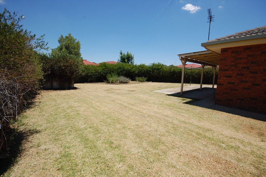 48 Yentoo  GLENFIELD PARK 9