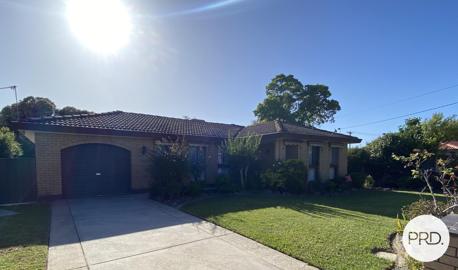 480 Ainslie Avenue LAVINGTON 1