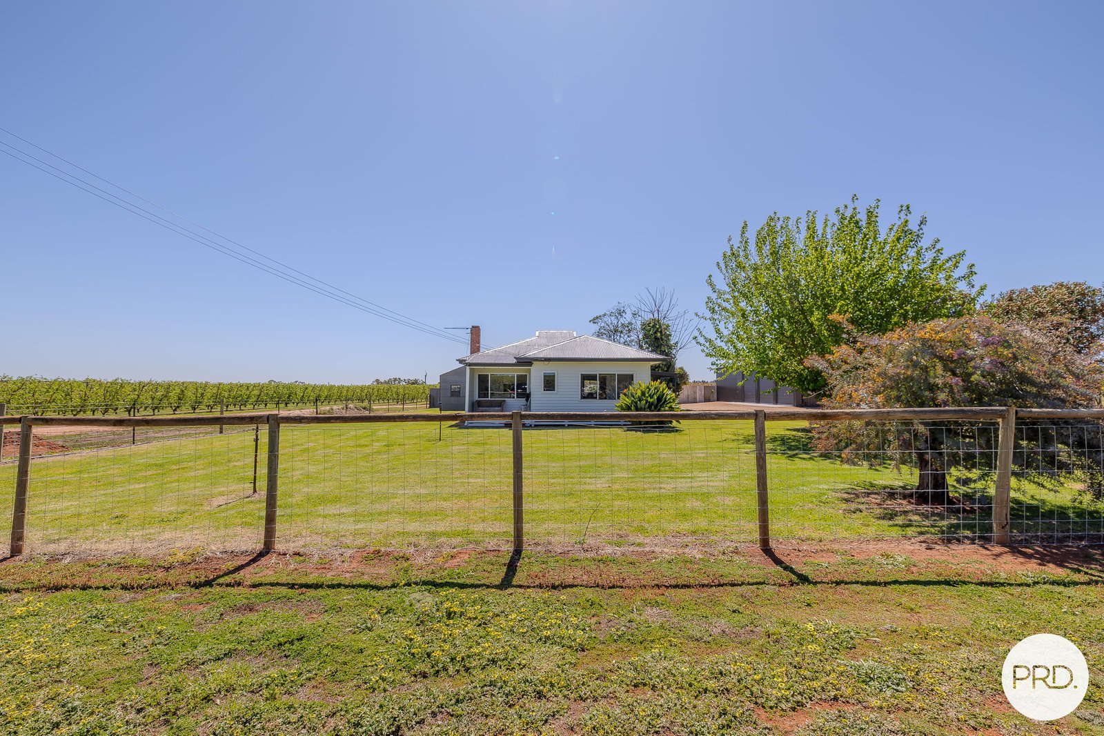 481 Reserve Road East  COOMEALLA 2