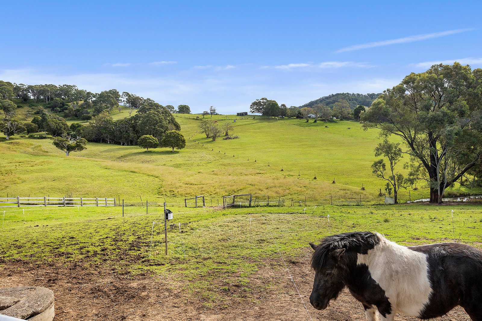 484 Marshall Mount Road MARSHALL MOUNT 15