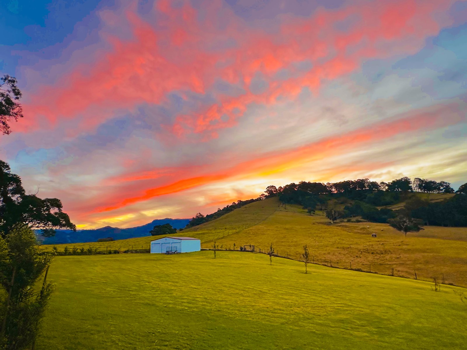 484 Marshall Mount Road MARSHALL MOUNT 19