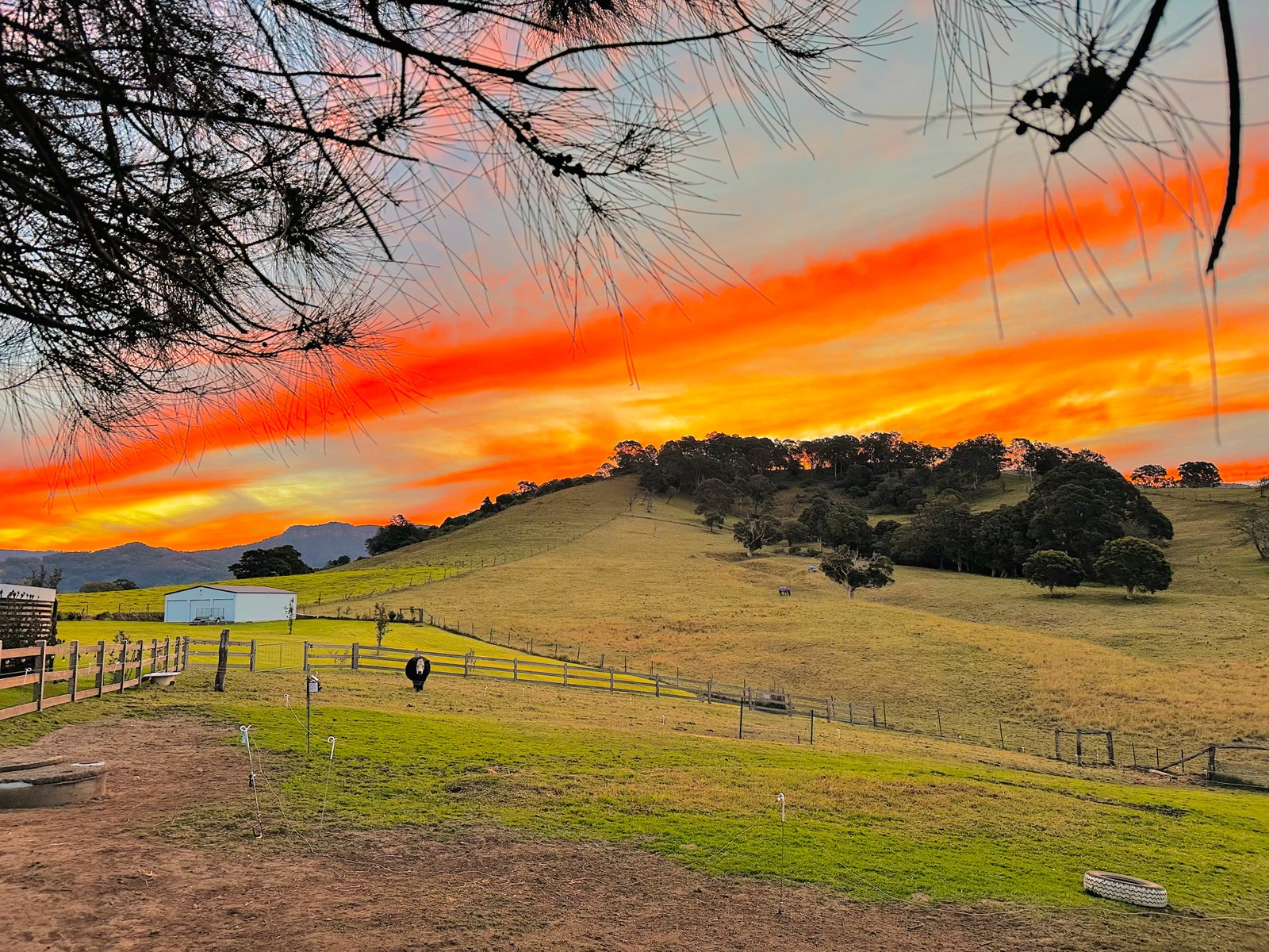 484 Marshall Mount Road MARSHALL MOUNT 20