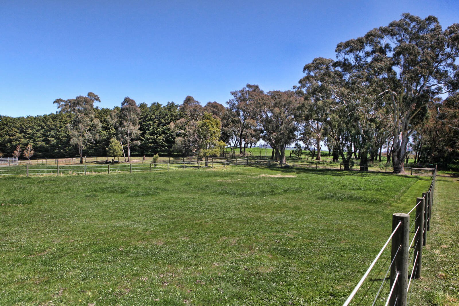 Real Estate and Property in 488 Rochford Road, Rochford, VIC