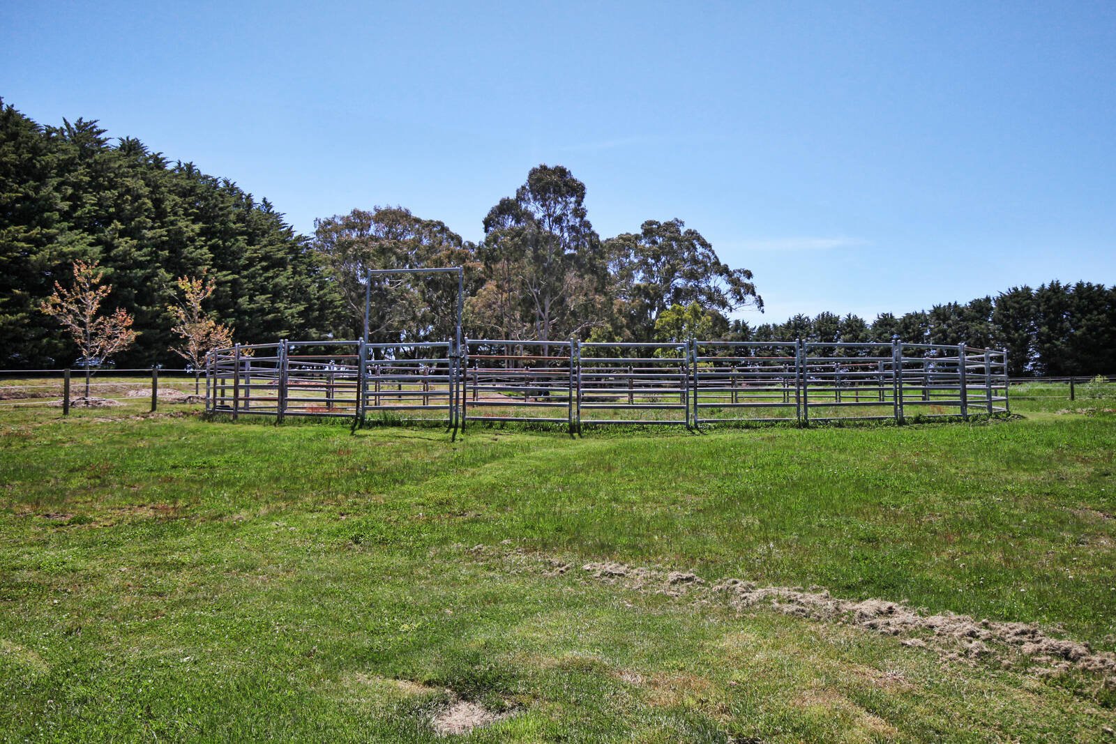 Real Estate and Property in 488 Rochford Road, Rochford, VIC