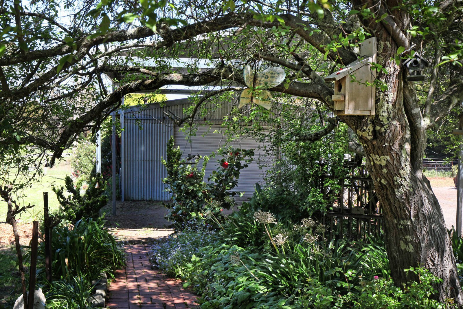 Real Estate and Property in 488 Rochford Road, Rochford, VIC