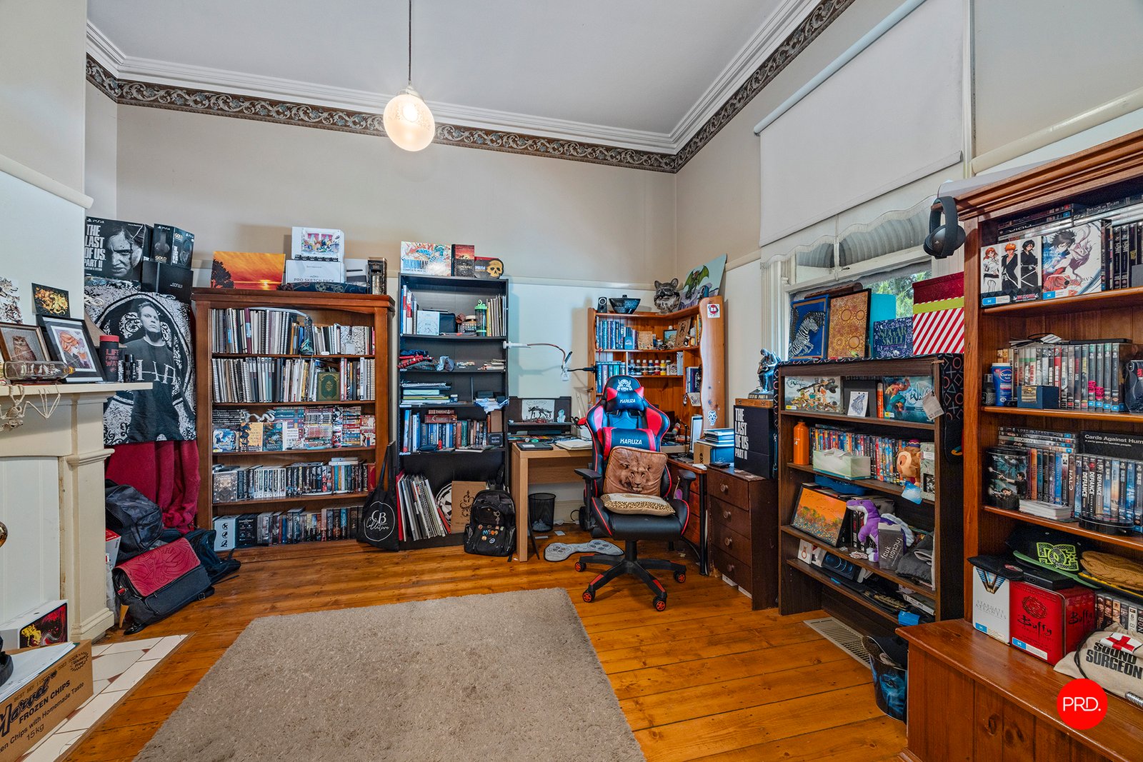 489 Napier Street WHITE HILLS 8