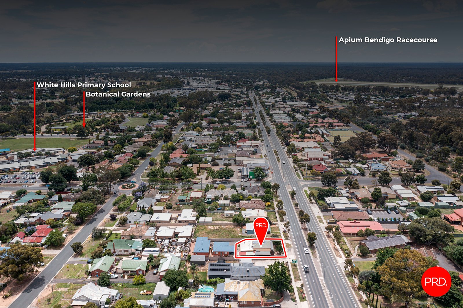489 Napier Street WHITE HILLS 16