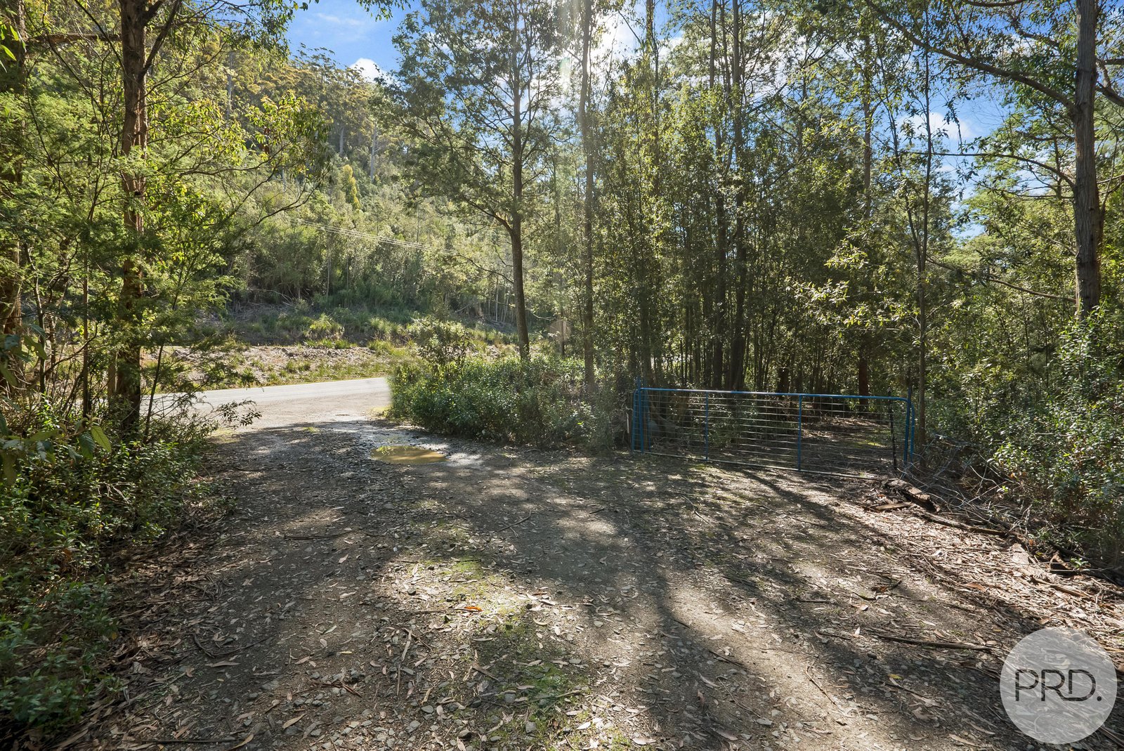 4895 Arthur Highway EAGLEHAWK NECK 7