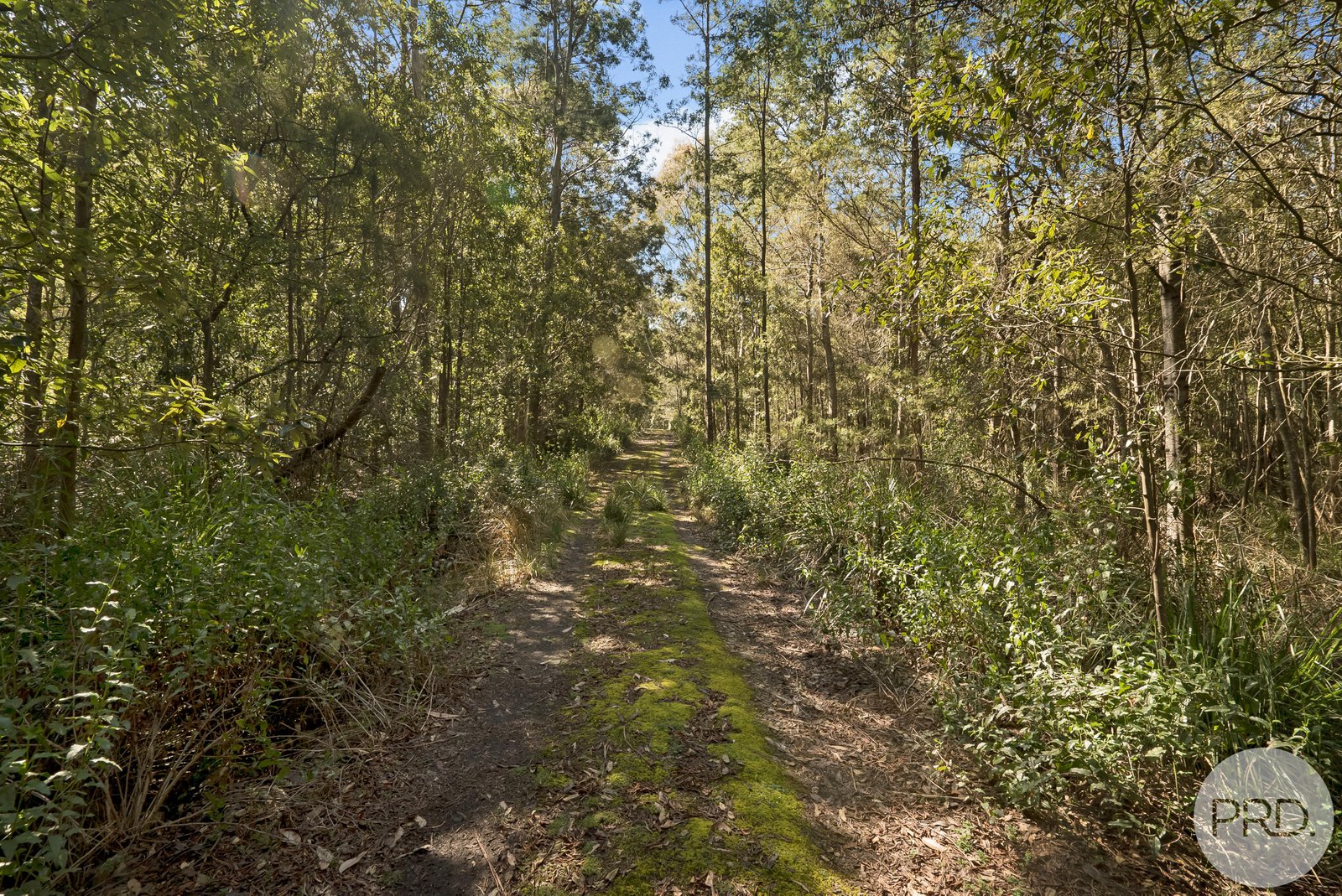 4895 Arthur Highway EAGLEHAWK NECK 8