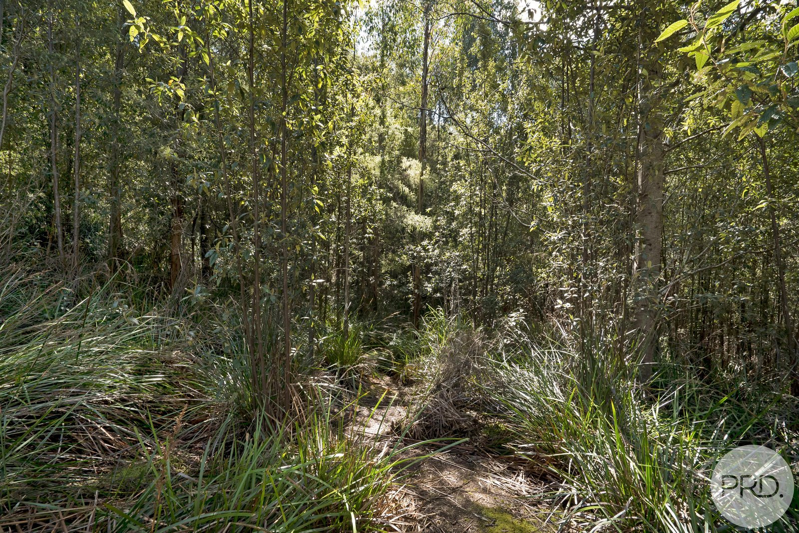 4895 Arthur Highway EAGLEHAWK NECK 11