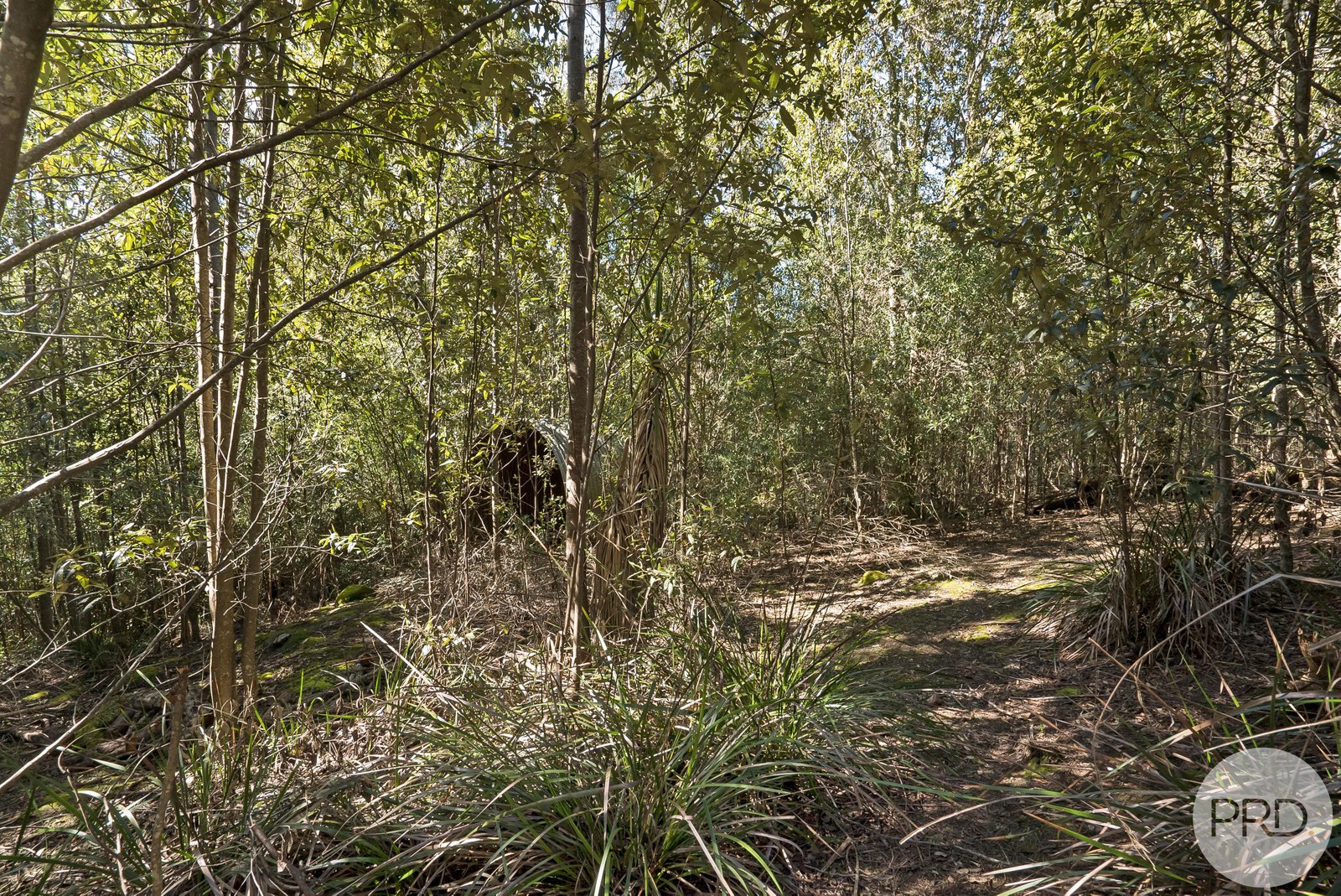 4895 Arthur Highway EAGLEHAWK NECK 12