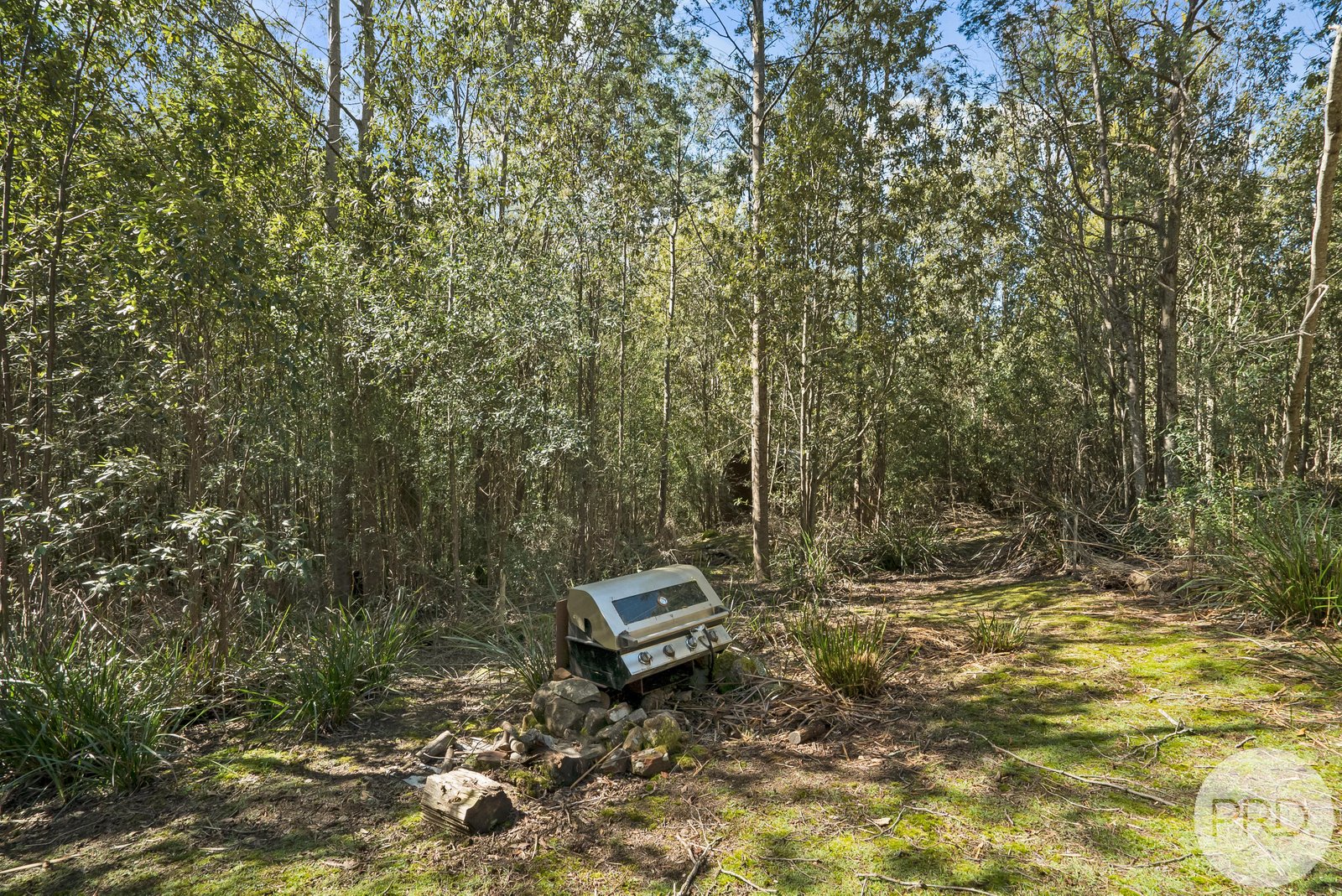 4895 Arthur Highway EAGLEHAWK NECK 16