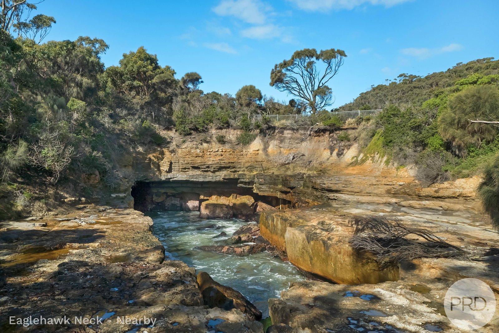 4895 Arthur Highway EAGLEHAWK NECK 17