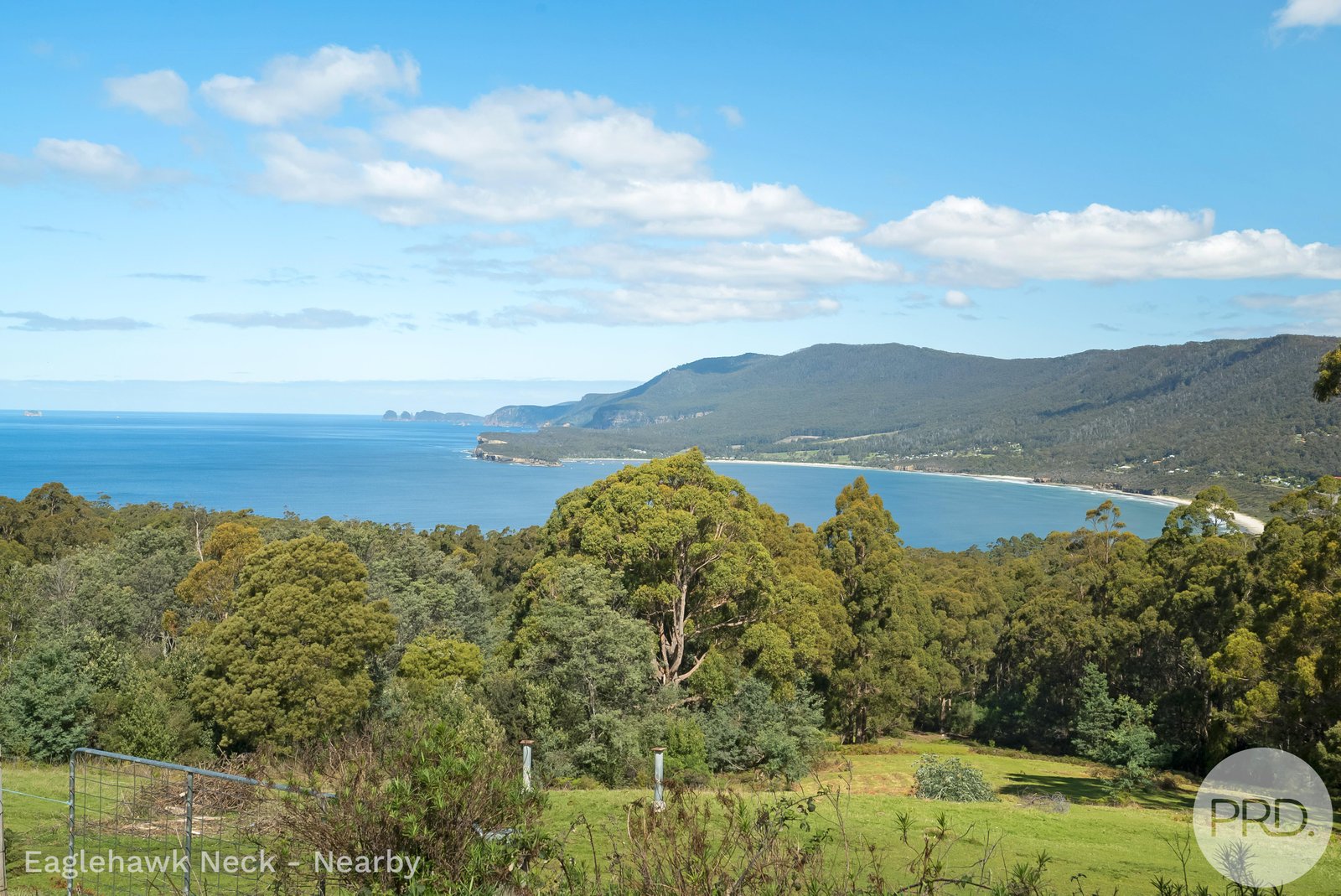 4895 Arthur Highway EAGLEHAWK NECK 18