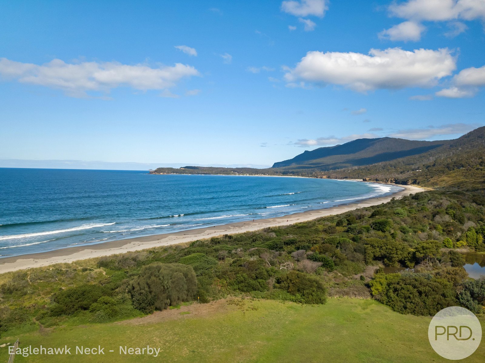4895 Arthur Highway EAGLEHAWK NECK 22