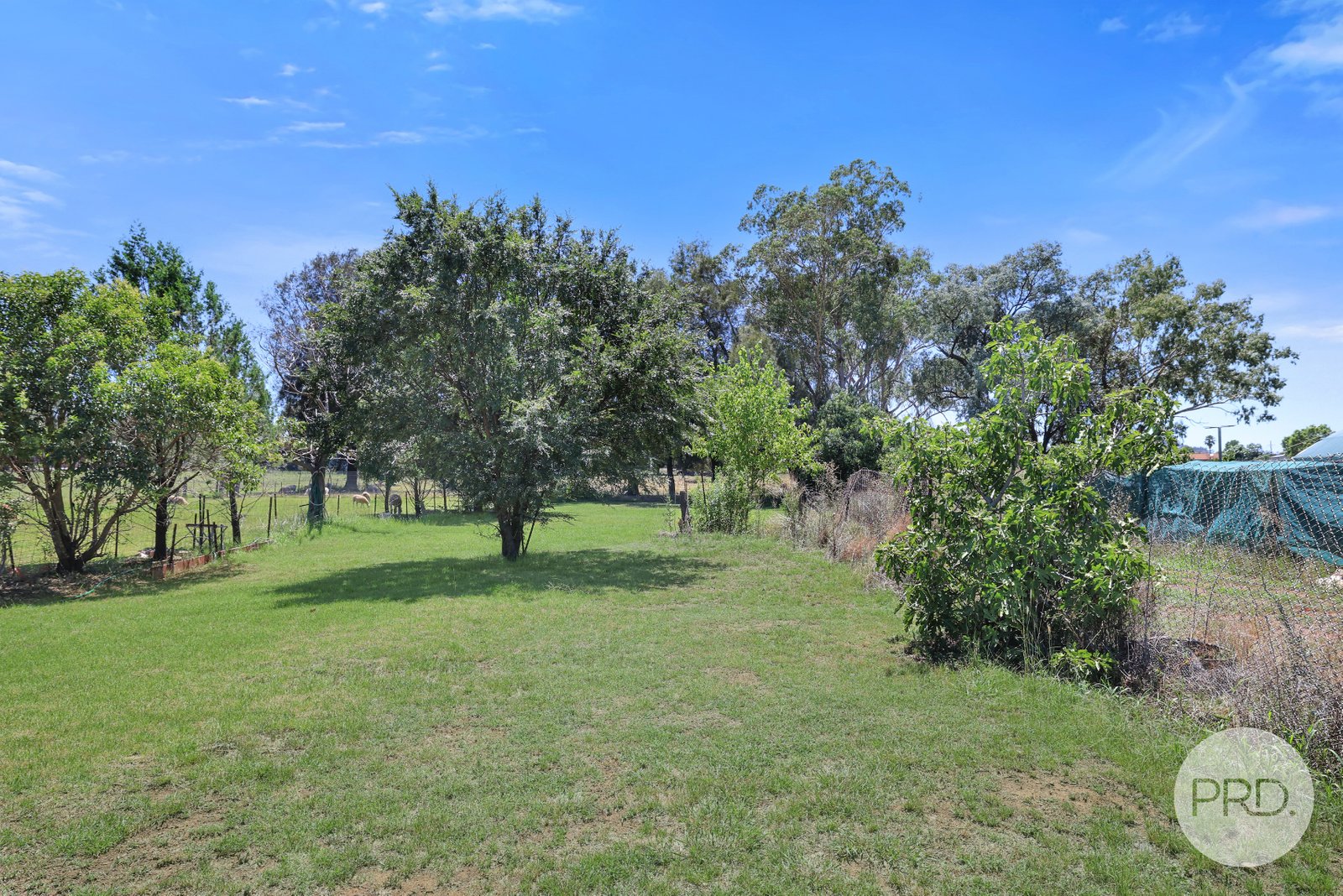 49 Arthur Street MANILLA 18