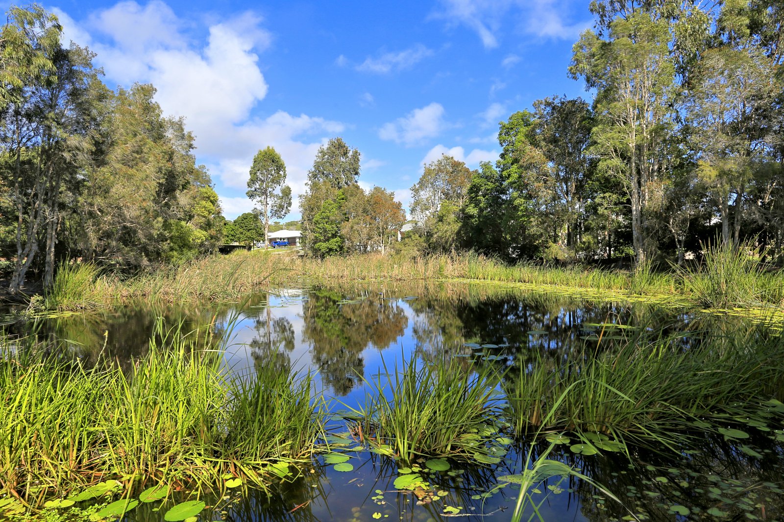 49 Bay Park Road WONDUNNA 19