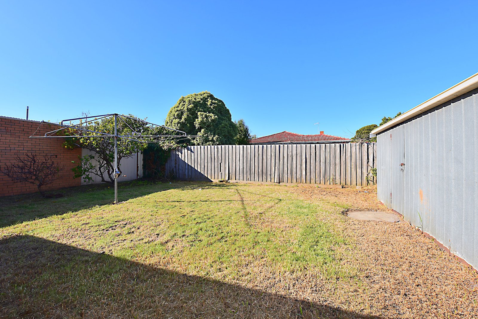 Gallery: 49 Bertha Street
