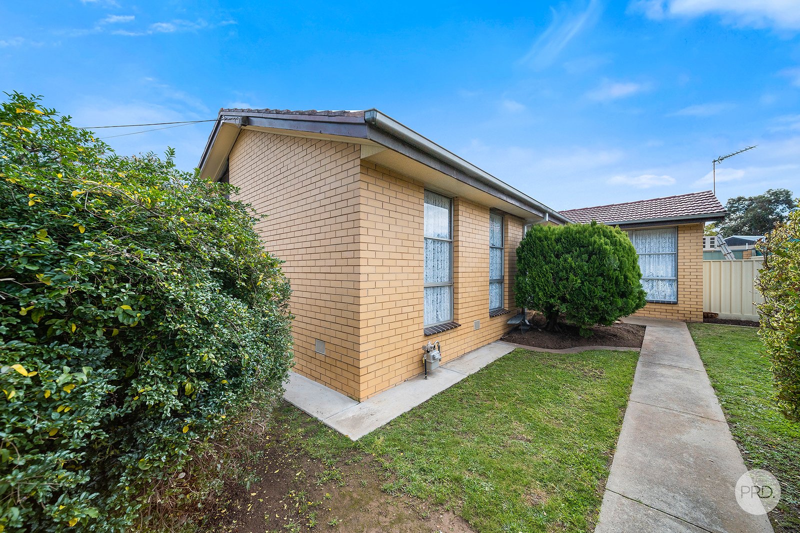 49 Bright Street CALIFORNIA GULLY 1