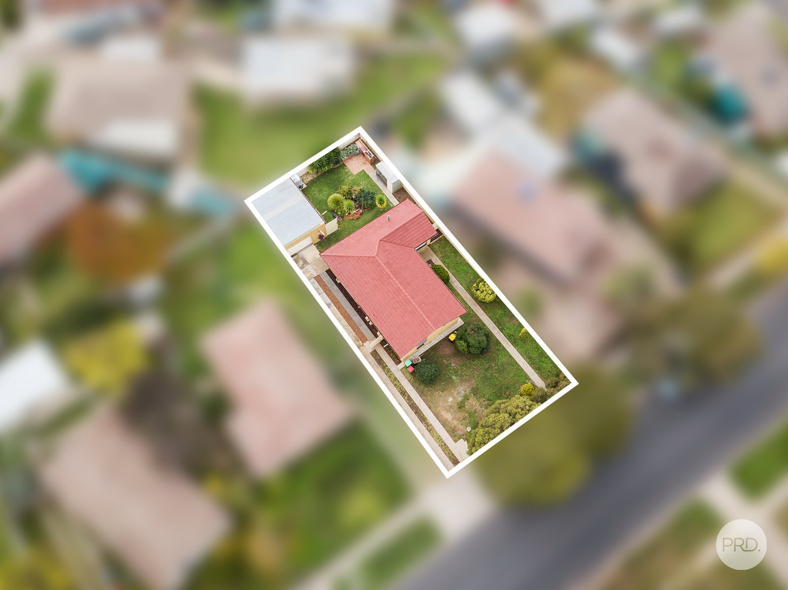 49 Bright Street CALIFORNIA GULLY 11