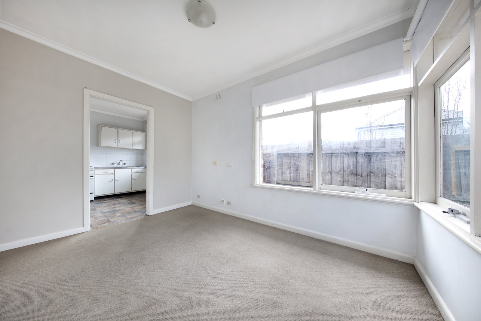 Gallery: 49 Carlton Street