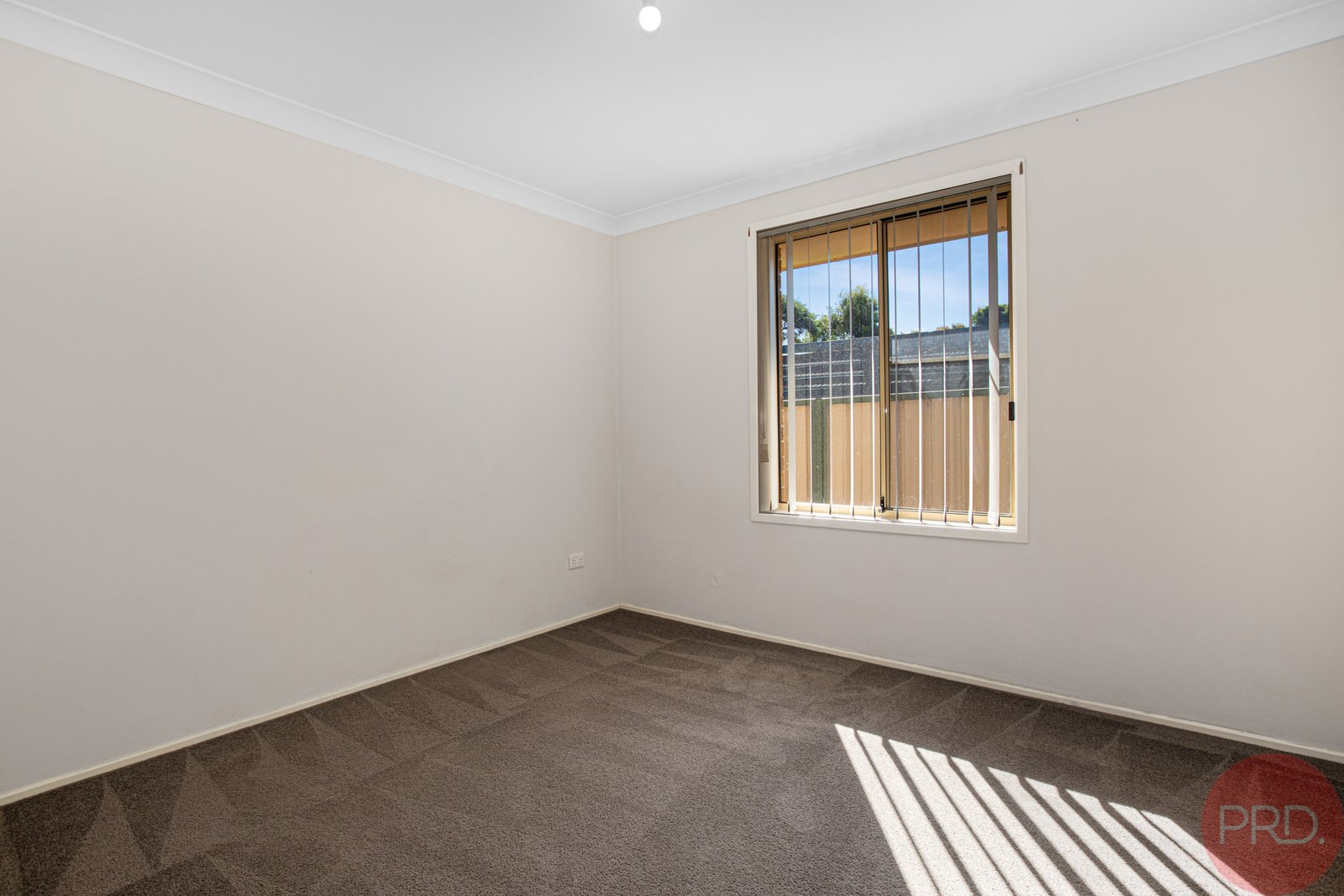 49 Fairfax Street RUTHERFORD 11
