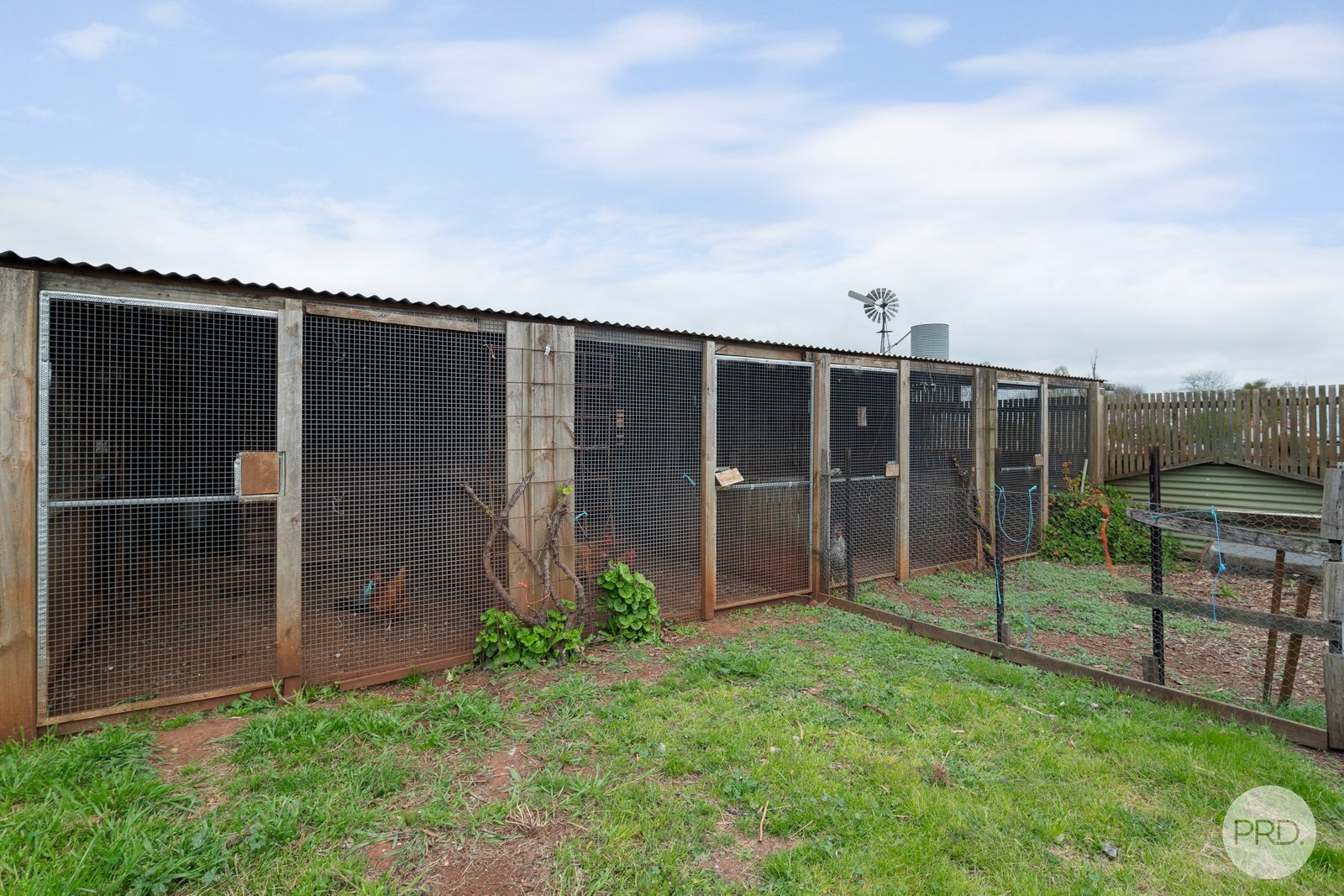 49 Frederick Street SMEATON 15