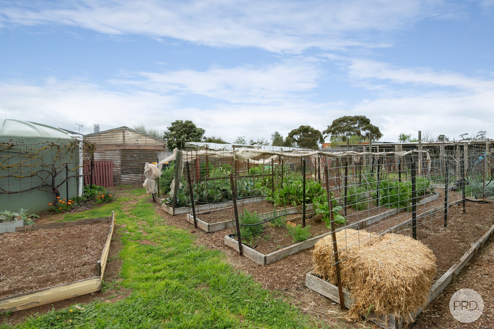 49 Frederick Street SMEATON 16