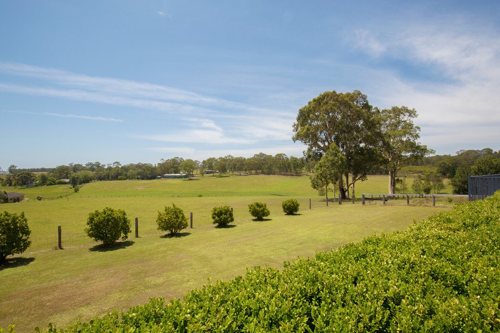 49 Hilldale Drive BOLWARRA HEIGHTS 16