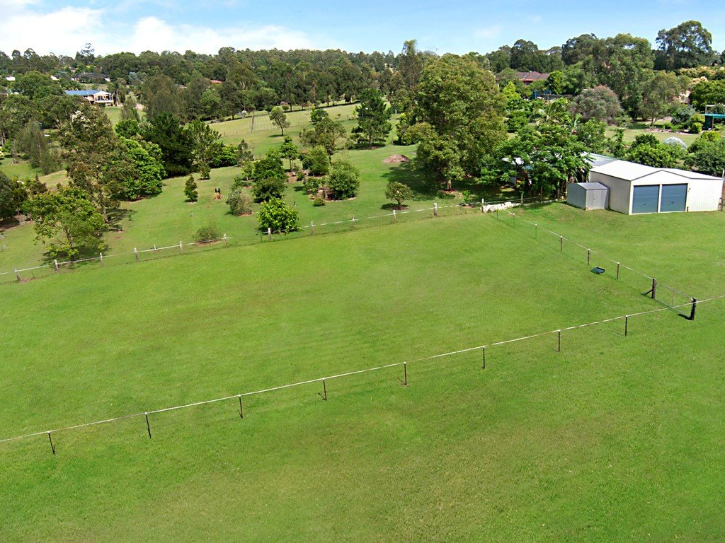 49 Hilldale Drive BOLWARRA HEIGHTS 19