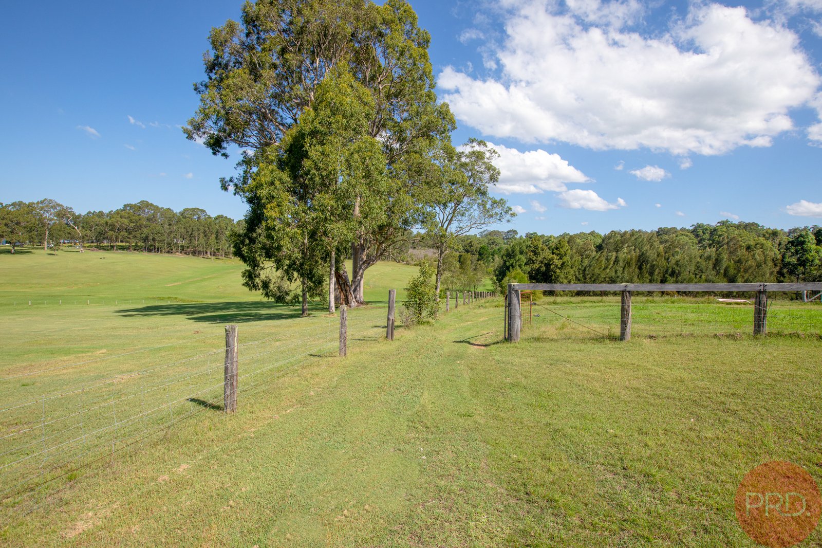49 Hilldale Drive BOLWARRA HEIGHTS 23