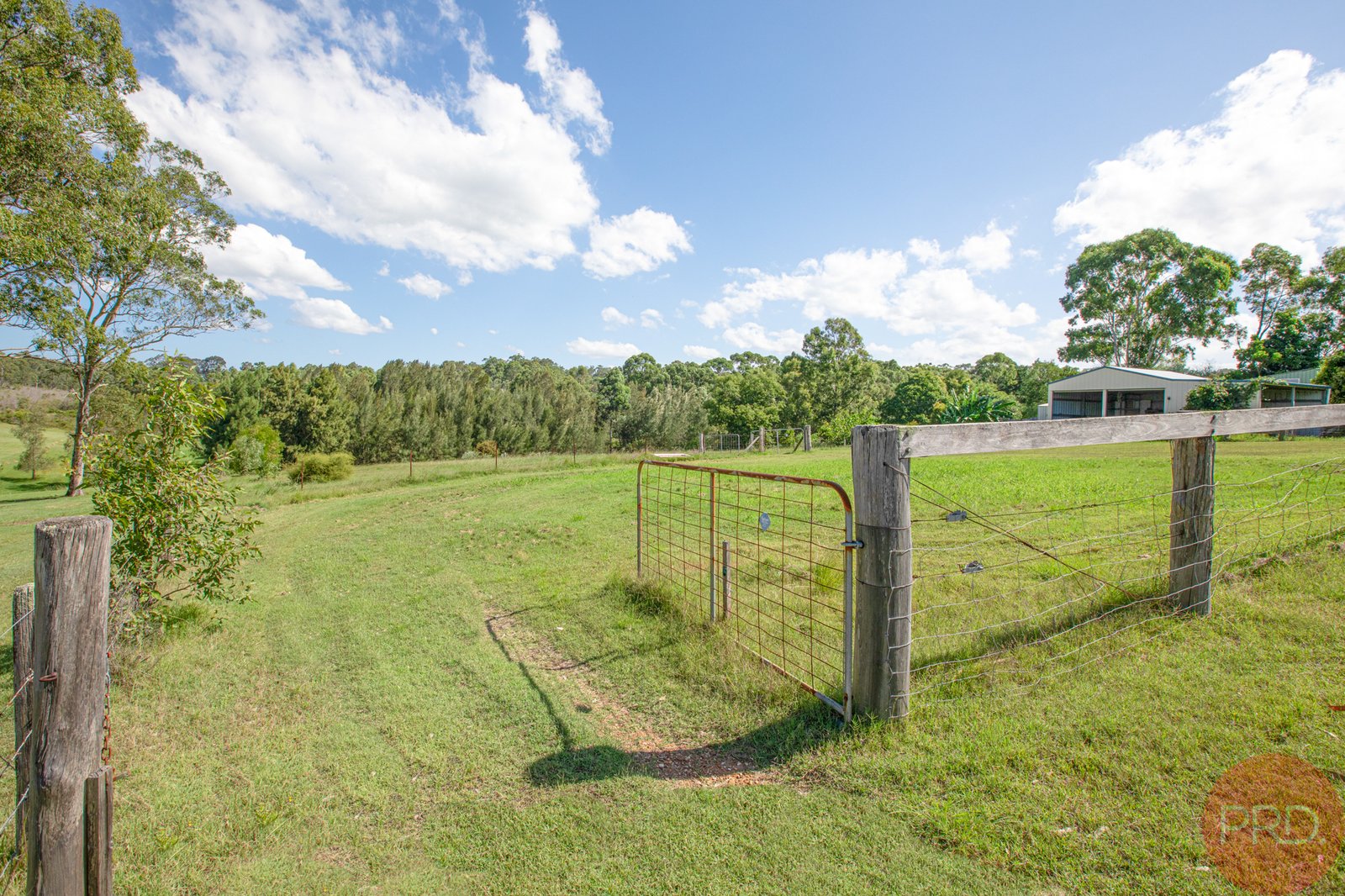 49 Hilldale Drive BOLWARRA HEIGHTS 24