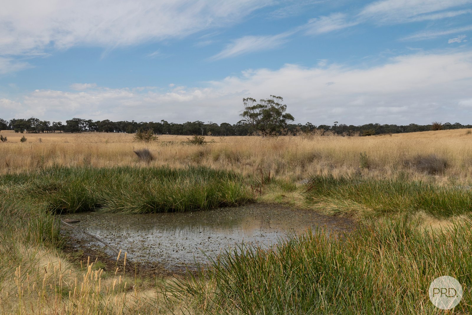 49 Hopgoods Road CLARENDON 16