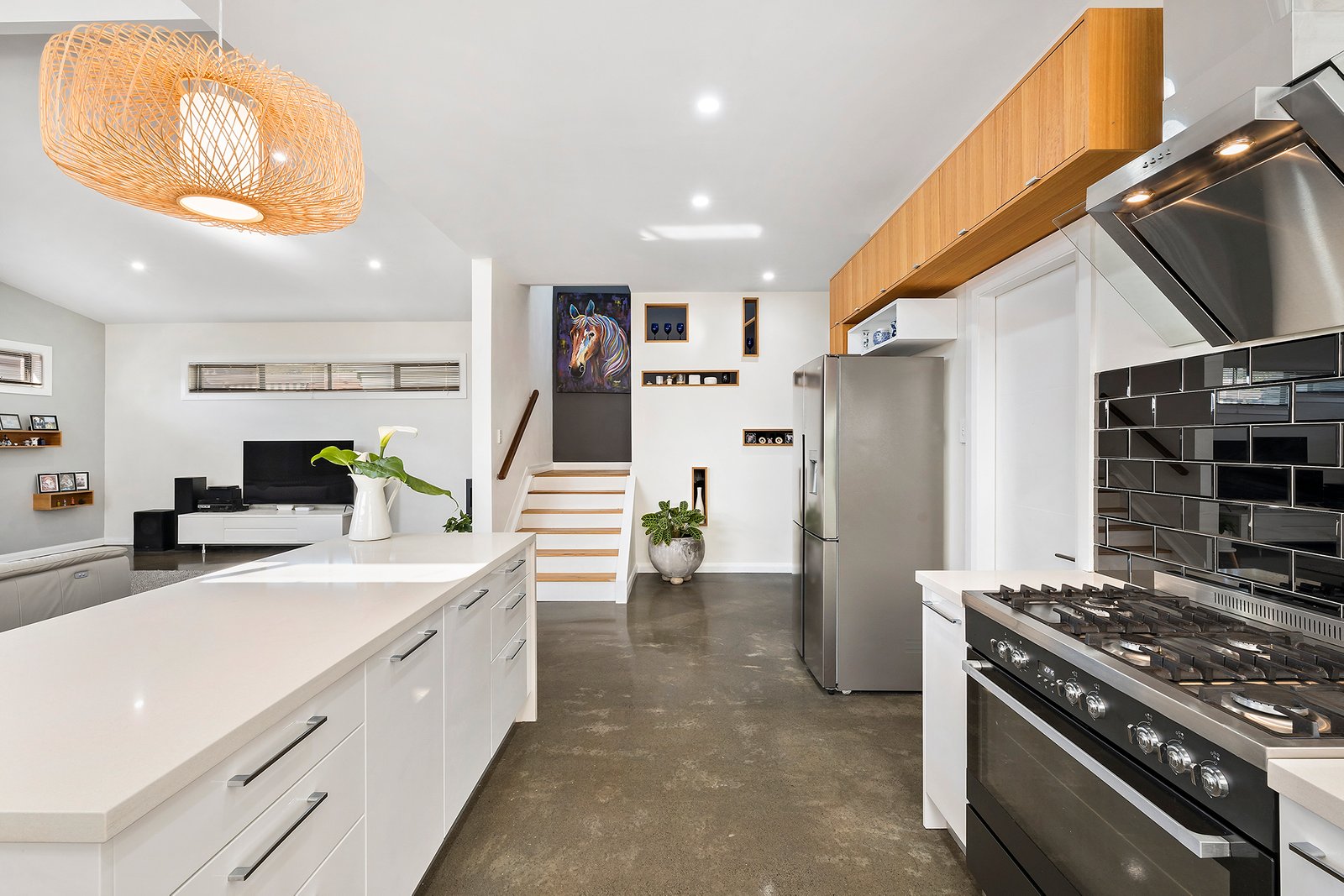 49 Horbury Street SANS SOUCI 4