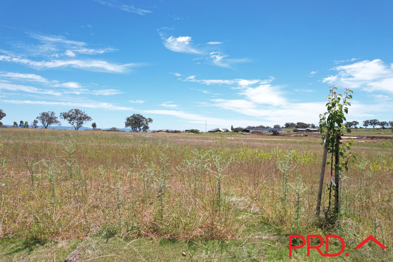 49 Kestral Street TAMWORTH 8