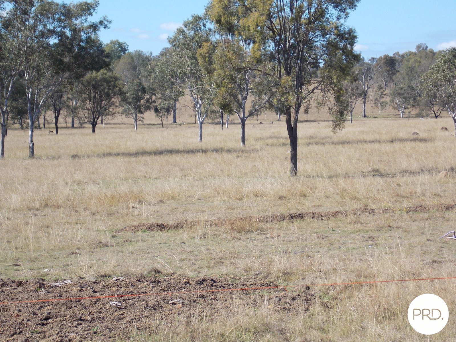 49 Lees Road EBENEZER 14