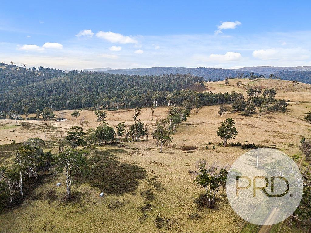 49 Loxton Road COLEBROOK 19