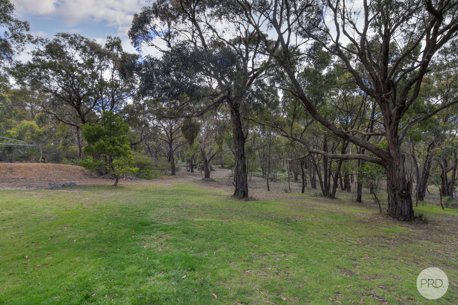 49 Moffats Road DEREEL 15