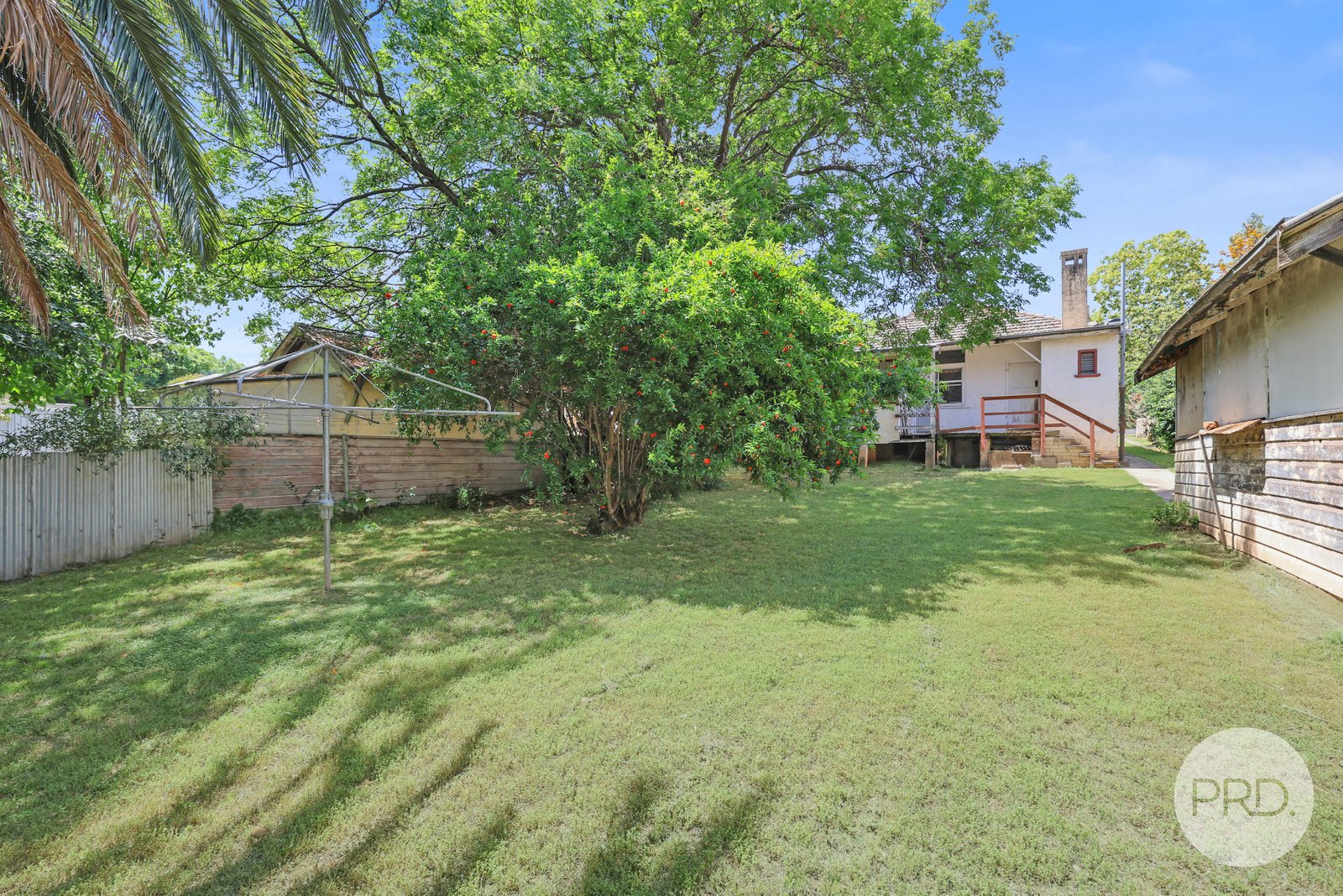 49 Napier Street TAMWORTH 17