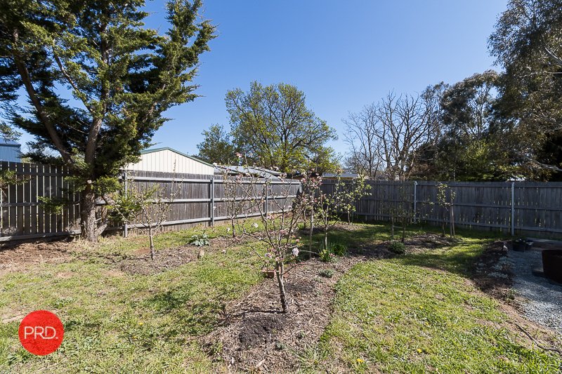 49 Osborne Street BUNGENDORE 12