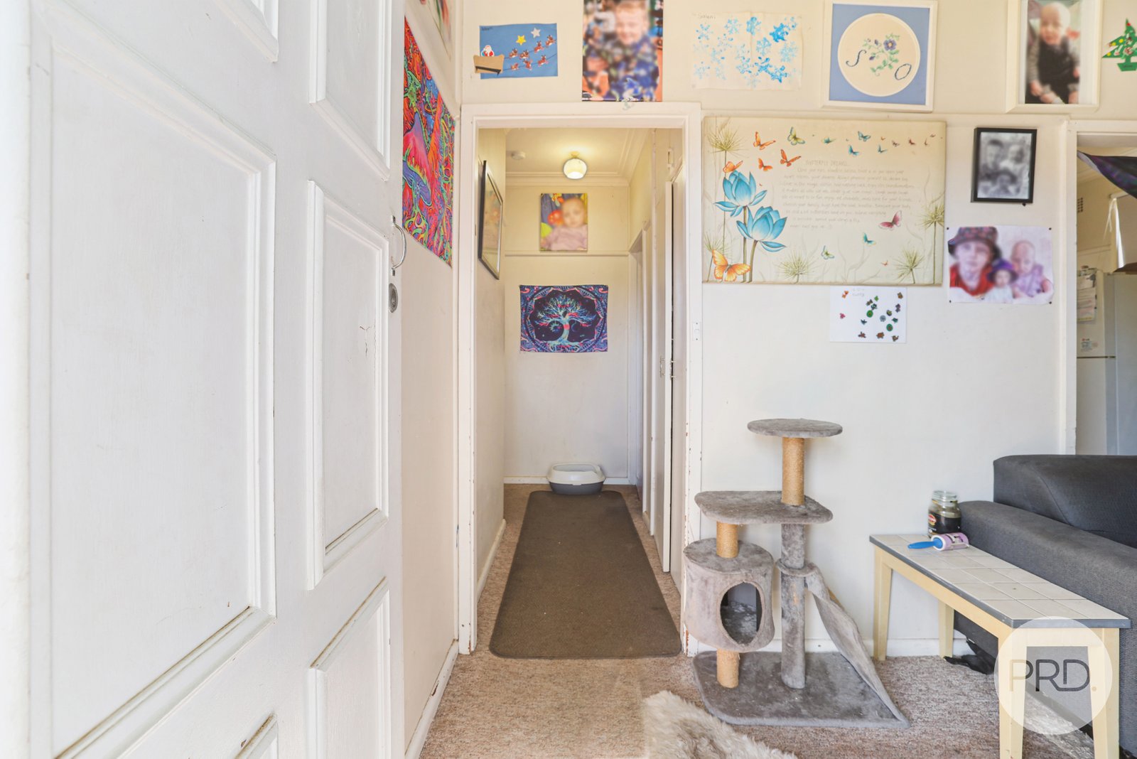 49 Robert Street TAMWORTH 3