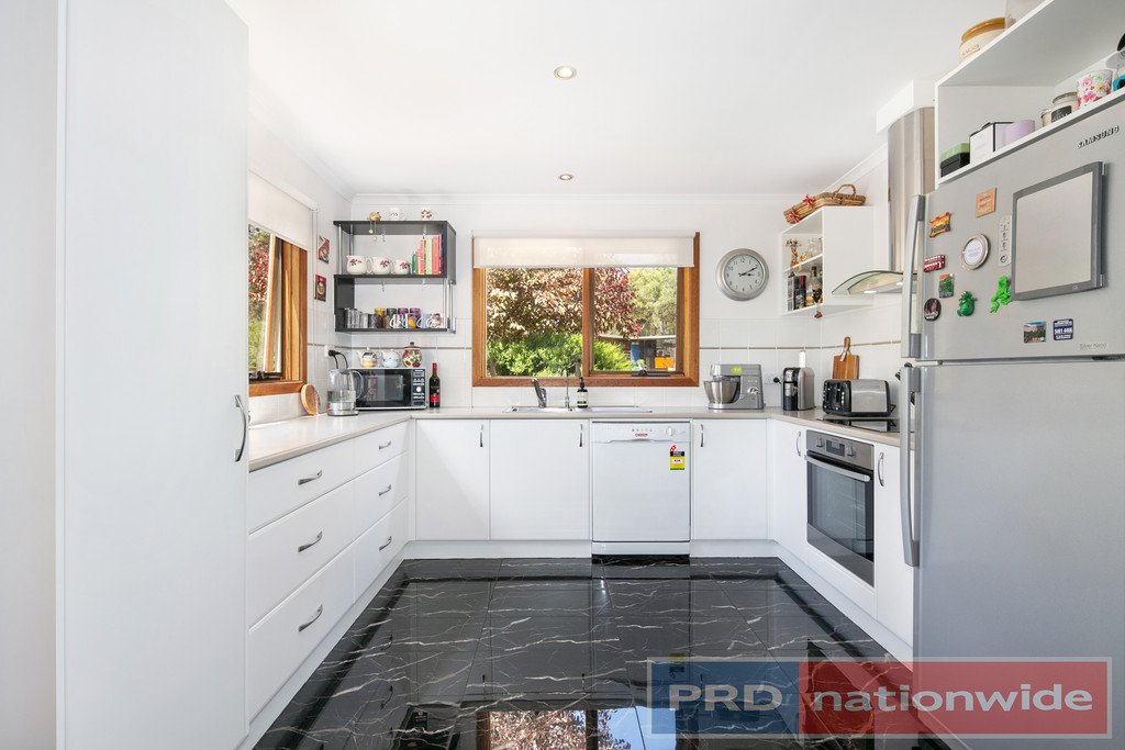 49 Skene Street LEXTON 7