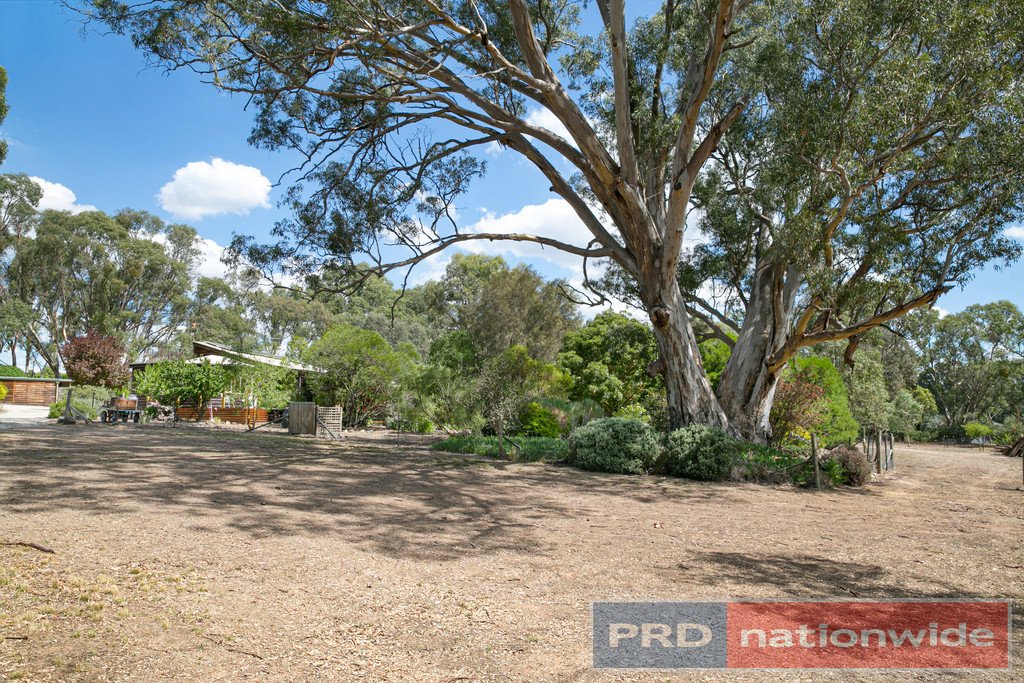 49 Skene Street LEXTON 15