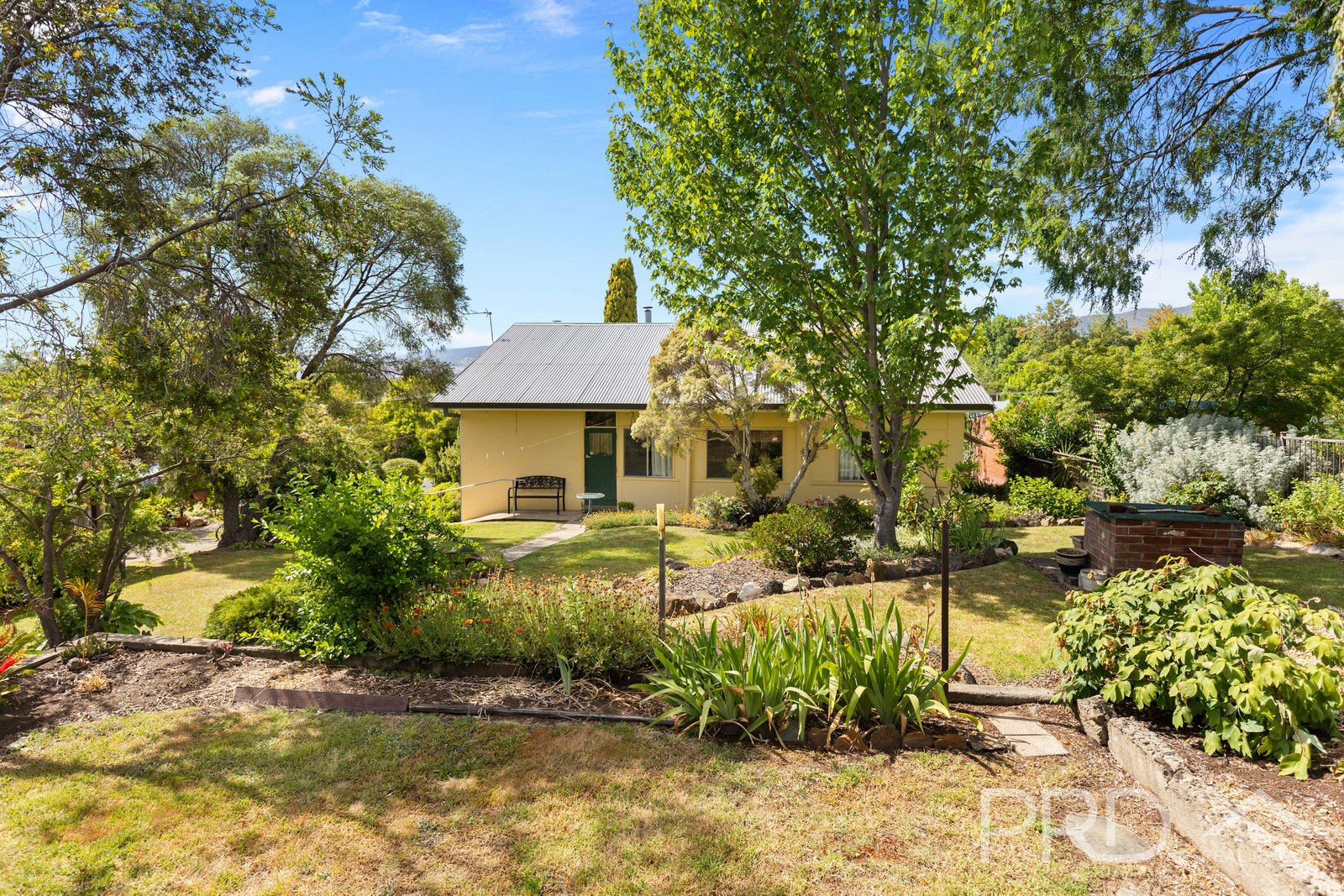 49 Sydney Street TUMUT 13