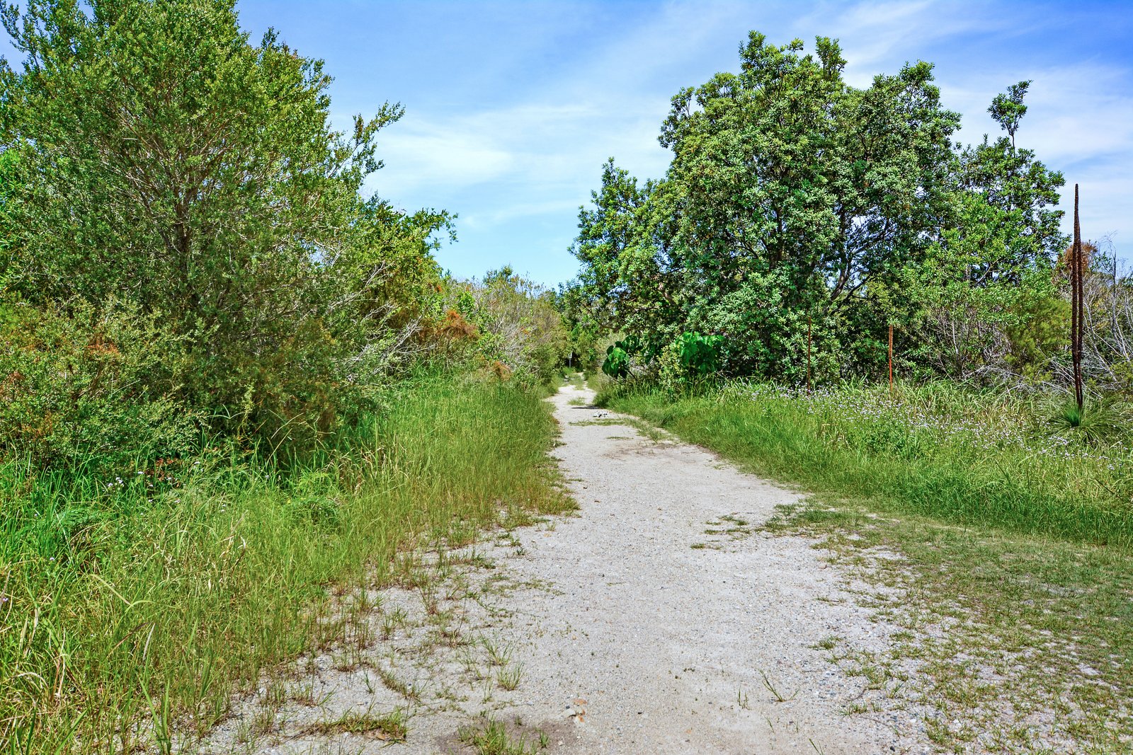 49 Ti Tree Avenue BOGANGAR 10