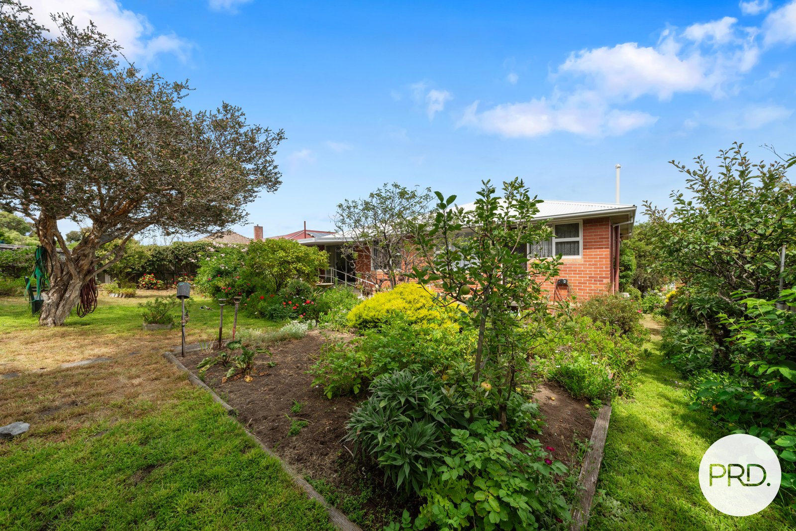 49 Tilanbi Street HOWRAH 14