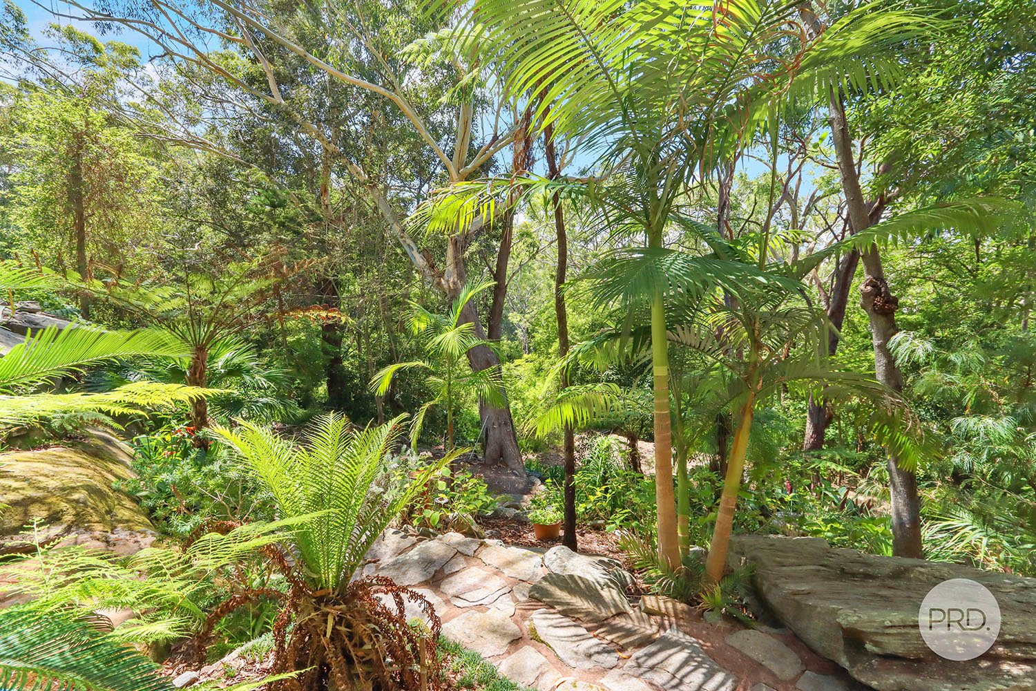 49 Yarran Road OATLEY 11